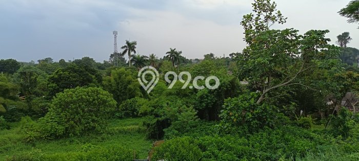 Area Ramai! Pabrik Dijual di Kemang untuk Bisnis Luas Bangunan 2100m2 Area Ramai! Pabrik Dijual di Kemang untuk Bisnis Luas Bangunan 2100m2