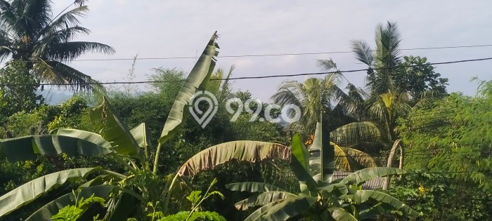 TANAH POTENSIAL! Tanah Kawasan Babakan Madang, Luas 3220m2m², Pinggir Jalan Utama TANAH POTENSIAL! Tanah Kawasan Babakan Madang, Luas 3220m2m², Pinggir Jalan Utama