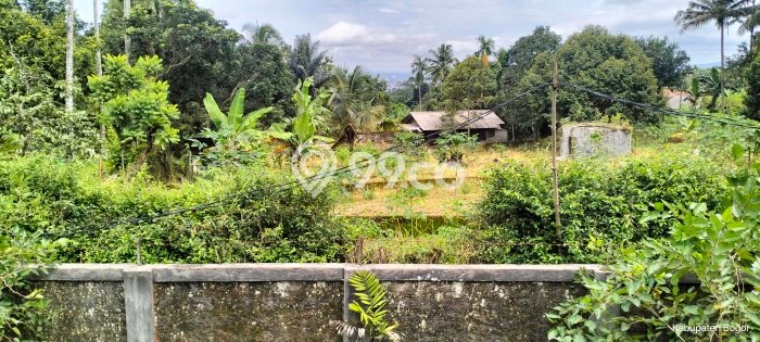 Tanah Area Berkembang Kawasan Dramaga, Luas 5000m2m², Cocok untuk Investasi Tanah Area Berkembang Kawasan Dramaga, Luas 5000m2m², Cocok untuk Investasi