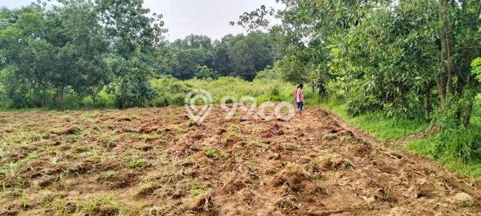 LOKASI STRATEGIS! Tanah Kawasan Cipeundeuy, Luas 25000m2m², Lokasi Potensial, Cocok untuk Hunian LOKASI STRATEGIS! Tanah Kawasan Cipeundeuy, Luas 25000m2m², Lokasi Potensial, Cocok untuk Hunian