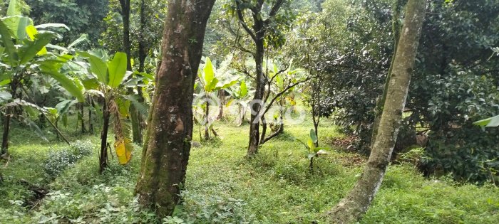 For Sale Tanah di Sukaraja, Luas 12732m2m², Dekat Sukaraja, Bogor, Bogor For Sale Tanah di Sukaraja, Luas 12732m2m², Dekat Sukaraja, Bogor, Bogor