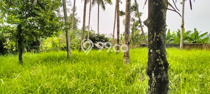 Dijual Tanah Area Potensial Kawasan Caringin, Luas 50000m2m², Akses Fasilitas Umum Dijual Tanah Area Potensial Kawasan Caringin, Luas 50000m2m², Akses Fasilitas Umum