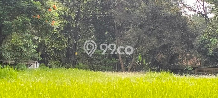 Dijual Tanah Area Potensial Kawasan Caringin, Luas 50000m2m², Akses Fasilitas Umum Dijual Tanah Area Potensial Kawasan Caringin, Luas 50000m2m², Akses Fasilitas Umum