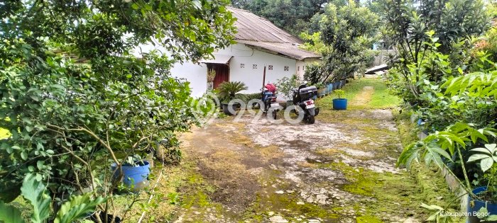 Tanah Area Berkembang Kawasan Dramaga, Luas 5000m2m², Cocok untuk Investasi Tanah Area Berkembang Kawasan Dramaga, Luas 5000m2m², Cocok untuk Investasi