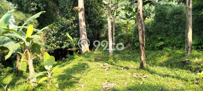 For Sale Tanah di Sukaraja, Luas 12732m2m², Dekat Sukaraja, Bogor, Bogor For Sale Tanah di Sukaraja, Luas 12732m2m², Dekat Sukaraja, Bogor, Bogor