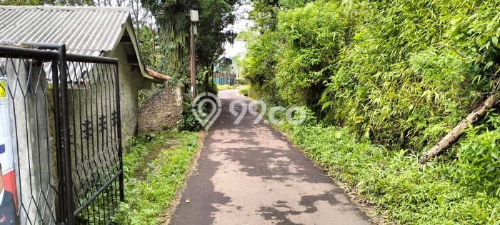 Tanah Area Potensial Kawasan Ciawi, Luas 6415m2m², Ideal untuk Bisnis Tanah Area Potensial Kawasan Ciawi, Luas 6415m2m², Ideal untuk Bisnis