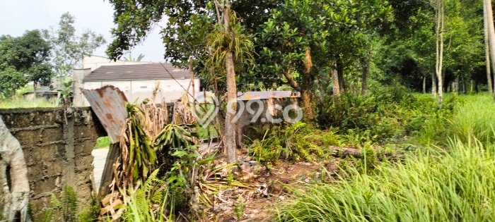 Dijual Tanah Area Potensial Kawasan Caringin, Luas 50000m2m², Akses Fasilitas Umum Dijual Tanah Area Potensial Kawasan Caringin, Luas 50000m2m², Akses Fasilitas Umum