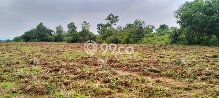 LOKASI STRATEGIS! Tanah Kawasan Cipeundeuy, Luas 25000m2m², Lokasi Potensial, Cocok untuk Hunian LOKASI STRATEGIS! Tanah Kawasan Cipeundeuy, Luas 25000m2m², Lokasi Potensial, Cocok untuk Hunian