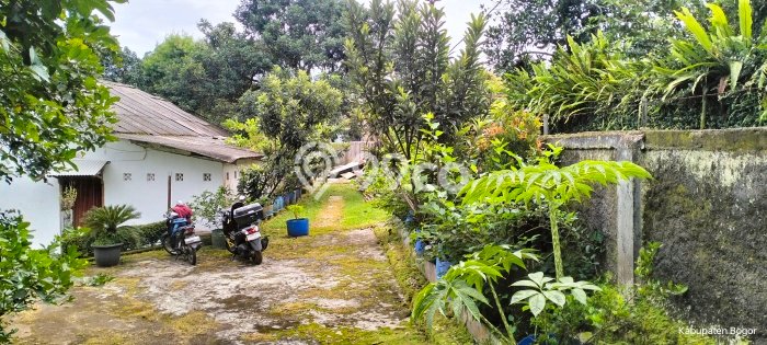 Tanah Area Berkembang Kawasan Dramaga, Luas 5000m2m², Cocok untuk Investasi Tanah Area Berkembang Kawasan Dramaga, Luas 5000m2m², Cocok untuk Investasi