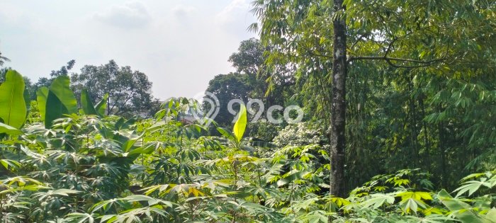 For Sale Tanah di Sukaraja, Luas 12732m2m², Dekat Sukaraja, Bogor, Bogor For Sale Tanah di Sukaraja, Luas 12732m2m², Dekat Sukaraja, Bogor, Bogor