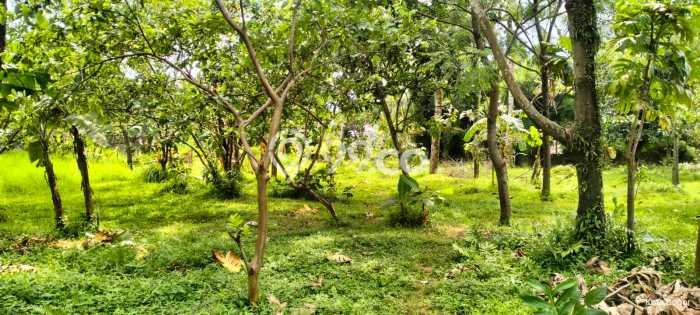 Tanah Kawasan , Luas 25000m2m², Area Potensial Tanah Kawasan , Luas 25000m2m², Area Potensial