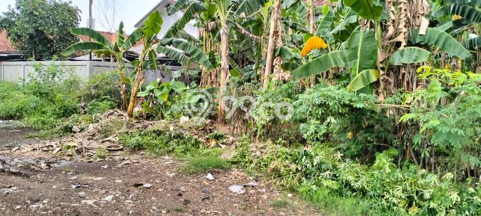 Jual Tanah Lokasi Strategis di Citeureup, Luas 6992m2m², Akses Fasilitas Umum Jual Tanah Lokasi Strategis di Citeureup, Luas 6992m2m², Akses Fasilitas Umum