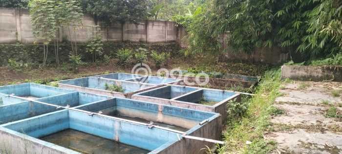 Tanah di Ranca Bungur, Bogor Luas 1585m2 Dijual Segera Tanah di Ranca Bungur, Bogor Luas 1585m2 Dijual Segera