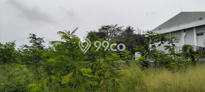 Tanah untuk Dijual di Sukaraja Bogor Luas 1230m2 Tanah untuk Dijual di Sukaraja Bogor Luas 1230m2