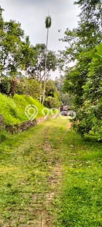 Dijual Tanah Area Potensial Kawasan Caringin, Luas 50000m2m², Akses Fasilitas Umum Dijual Tanah Area Potensial Kawasan Caringin, Luas 50000m2m², Akses Fasilitas Umum