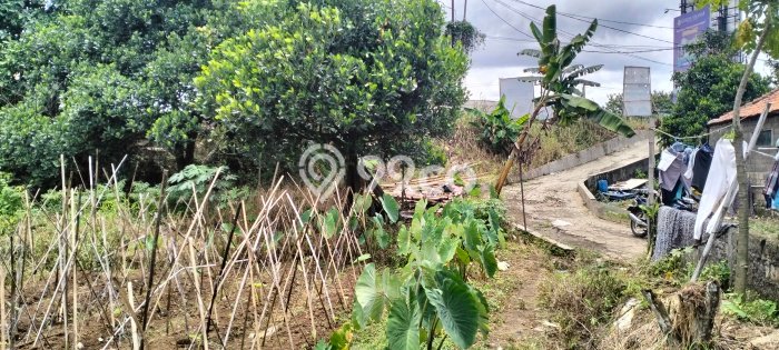 Tanah Area Berkembang Kawasan Dramaga, Luas 6216m2m², Akses ke Pusat Kota Tanah Area Berkembang Kawasan Dramaga, Luas 6216m2m², Akses ke Pusat Kota
