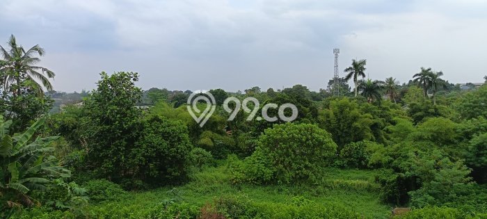 Area Ramai! Pabrik Dijual di Kemang untuk Bisnis Luas Bangunan 2100m2 Area Ramai! Pabrik Dijual di Kemang untuk Bisnis Luas Bangunan 2100m2
