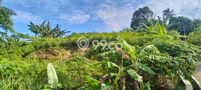 Tanah di Sukaraja, Bogor Luas 751m2 Dijual Segera Tanah di Sukaraja, Bogor Luas 751m2 Dijual Segera