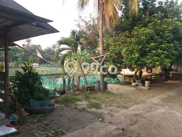 Tanah Strategis Kawasan Parung, Luas 6000m2m², Cocok untuk Perumahan Tanah Strategis Kawasan Parung, Luas 6000m2m², Cocok untuk Perumahan