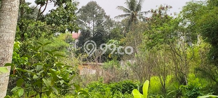 Dijual Tanah Area Potensial Kawasan Caringin, Luas 50000m2m², Akses Fasilitas Umum Dijual Tanah Area Potensial Kawasan Caringin, Luas 50000m2m², Akses Fasilitas Umum