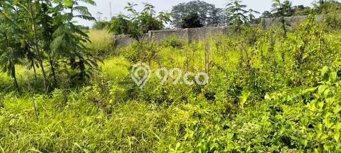Tanah untuk Dijual di Sukaraja Bogor Luas 1230m2 Tanah untuk Dijual di Sukaraja Bogor Luas 1230m2