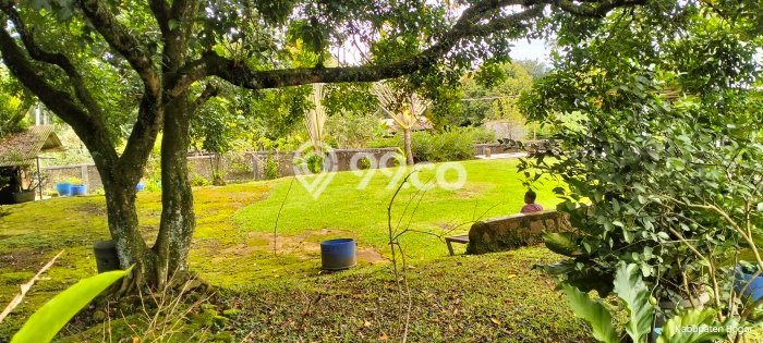 Tanah Area Berkembang Kawasan Dramaga, Luas 5000m2m², Cocok untuk Investasi Tanah Area Berkembang Kawasan Dramaga, Luas 5000m2m², Cocok untuk Investasi