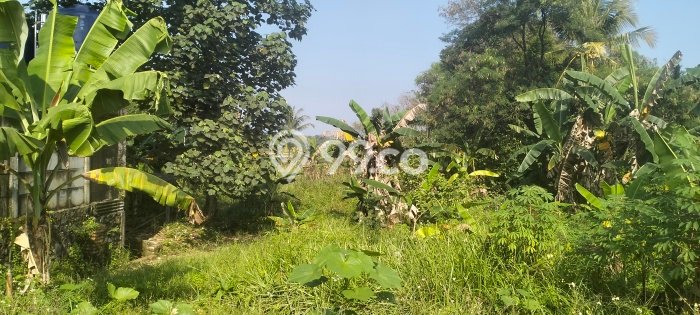 Dijual Tanah Kawasan Bisnis di , Luas 3845m2m², Potensi Bagus Dijual Tanah Kawasan Bisnis di , Luas 3845m2m², Potensi Bagus