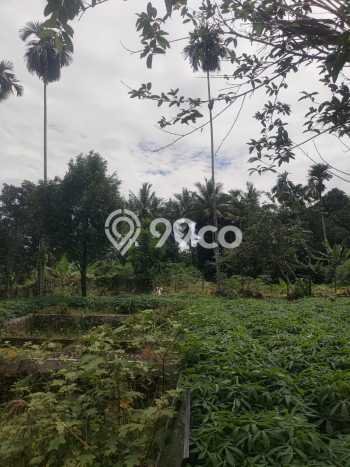 Tanah Area Berkembang Kawasan Dramaga, Luas 5000m2m², Cocok untuk Investasi Tanah Area Berkembang Kawasan Dramaga, Luas 5000m2m², Cocok untuk Investasi