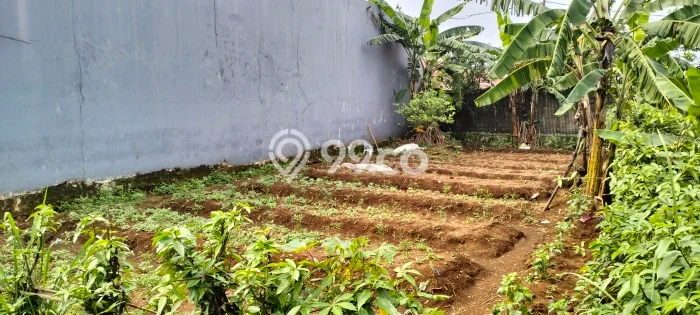Tanah Kavling Dijual di Bogor dengan Spesifikasi 177m2 Tanah Kavling Dijual di Bogor dengan Spesifikasi 177m2