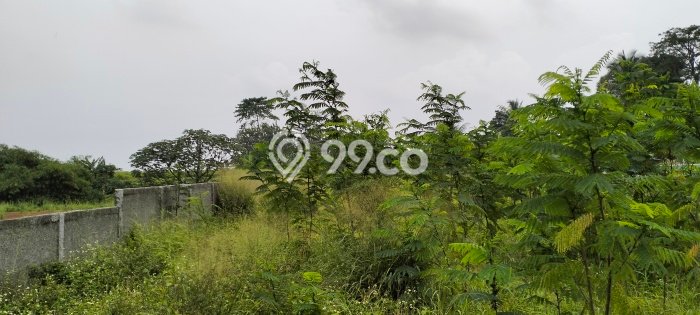 Tanah untuk Dijual di Sukaraja Bogor Luas 1230m2 Tanah untuk Dijual di Sukaraja Bogor Luas 1230m2