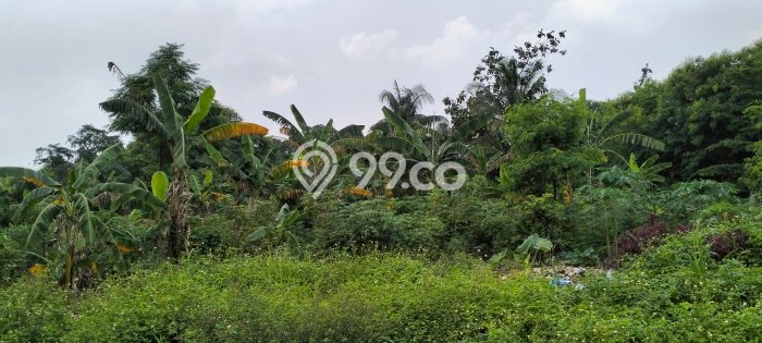 Jual Tanah Lokasi Strategis di Citeureup, Luas 6992m2m², Akses Fasilitas Umum Jual Tanah Lokasi Strategis di Citeureup, Luas 6992m2m², Akses Fasilitas Umum