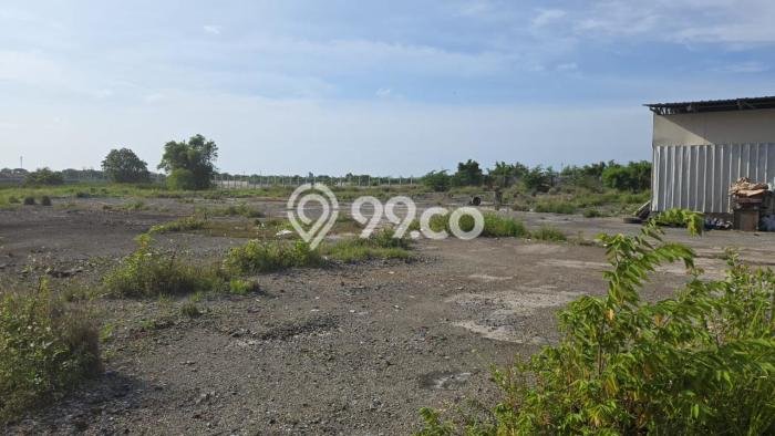 Kavling Tanah di Kosambi Dijual Luas 12412m2 Legalitas SHM Kavling Tanah di Kosambi Dijual Luas 12412m2 Legalitas SHM