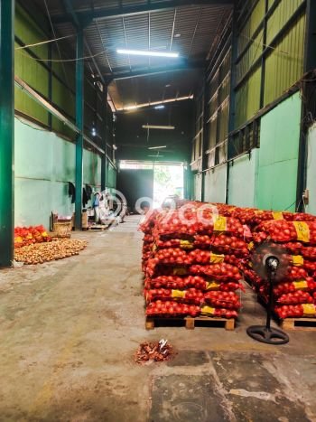Unit Gudang Disewa Lokasi Cakung, Jakarta Timur Spesifikasi Luas Bangunan 720m2 Unit Gudang Disewa Lokasi Cakung, Jakarta Timur Spesifikasi Luas Bangunan 720m2
