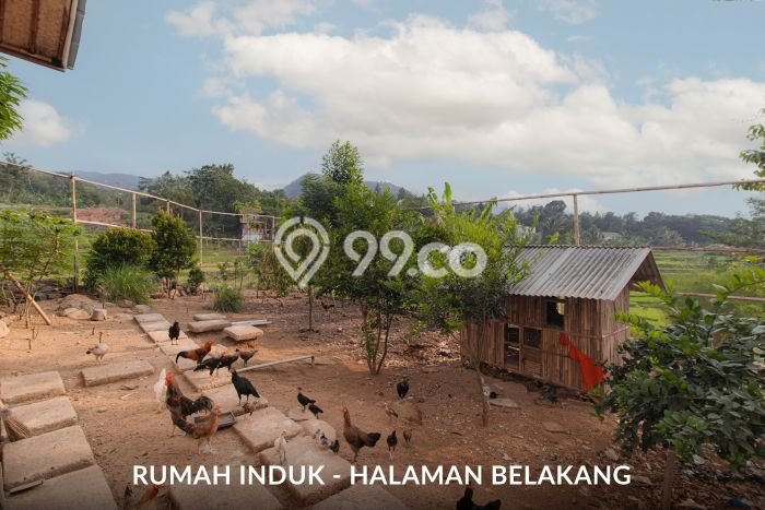 Komersial Favorit Dijual di Sukamakmur Bogor Area Pusat Bisnis Komersial Favorit Dijual di Sukamakmur Bogor Area Pusat Bisnis