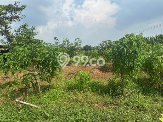 Untuk Dijual Tanah di Karawang Timur Karawang Luas 26000m2 - Untuk Dijual Tanah di Karawang Timur Karawang Luas 26000m2 -