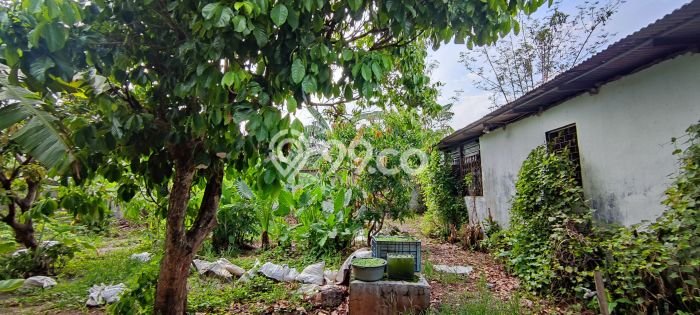 Tanah Dijual Lokasi Serpong Tangerang Selatan SHM Tanah Dijual Lokasi Serpong Tangerang Selatan SHM
