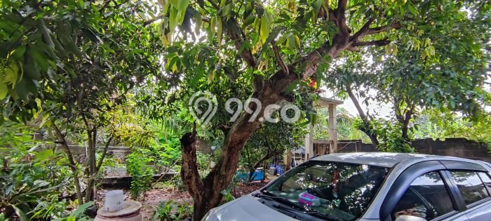 Tanah Dijual Lokasi Serpong Tangerang Selatan SHM Tanah Dijual Lokasi Serpong Tangerang Selatan SHM