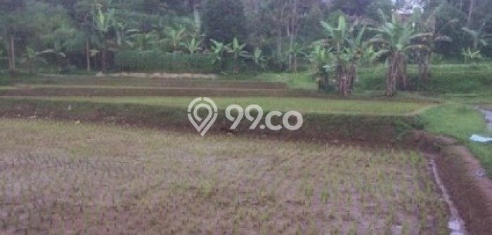 Tanah Komersial Dijual di Cisaat Sukabumi 13830m2 Tanah Komersial Dijual di Cisaat Sukabumi 13830m2