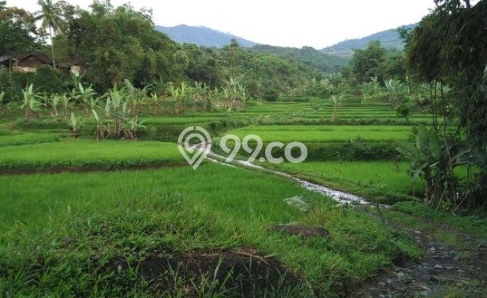 Tanah Komersial Dijual di Cisaat Sukabumi 13830m2 Tanah Komersial Dijual di Cisaat Sukabumi 13830m2