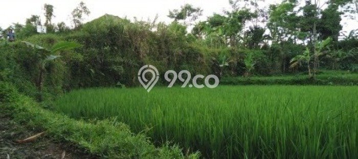 Tanah Komersial Dijual di Cisaat Sukabumi 13830m2 Tanah Komersial Dijual di Cisaat Sukabumi 13830m2