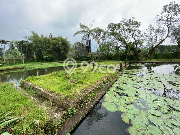 Tanah untuk Dijual Lokasi Cipanas, Cianjur Luas 7m2 SHM Tanah untuk Dijual Lokasi Cipanas, Cianjur Luas 7m2 SHM