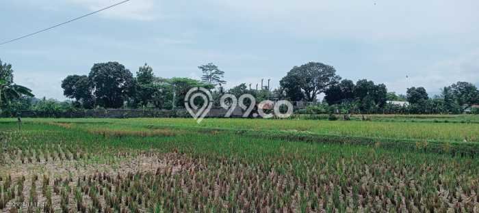 Tanah Kavling di Cianjur Dijual dengan Luas 5000m2 Tanah Kavling di Cianjur Dijual dengan Luas 5000m2