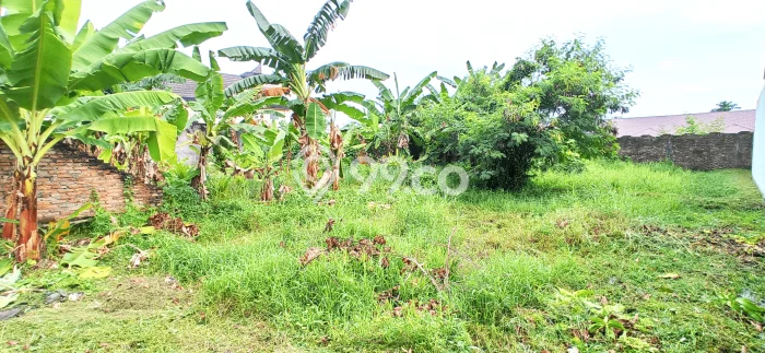 Tanah Dijual Lokasi Medan Helvetia, Medan Luas 250m2 Legalitas Aman Tanah Dijual Lokasi Medan Helvetia, Medan Luas 250m2 Legalitas Aman