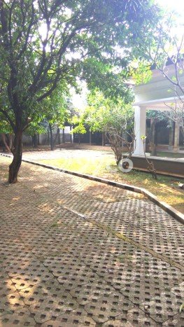 Dijual Rumah Mewah Exclusive di Cilandak, Jakarta Selatan Dijual Rumah Mewah Exclusive di Cilandak, Jakarta Selatan
