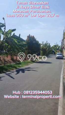 Tanah untuk Disewakan di Tembalang Semarang SHM Tanah untuk Disewakan di Tembalang Semarang SHM