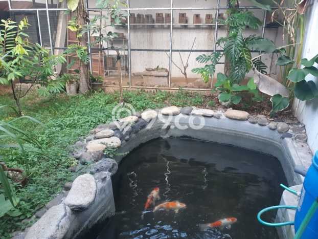 For Sale Rumah 3 Kamar Lokasi Ideal Bagus dan Strategis di Pedurungan For Sale Rumah 3 Kamar Lokasi Ideal Bagus dan Strategis di Pedurungan