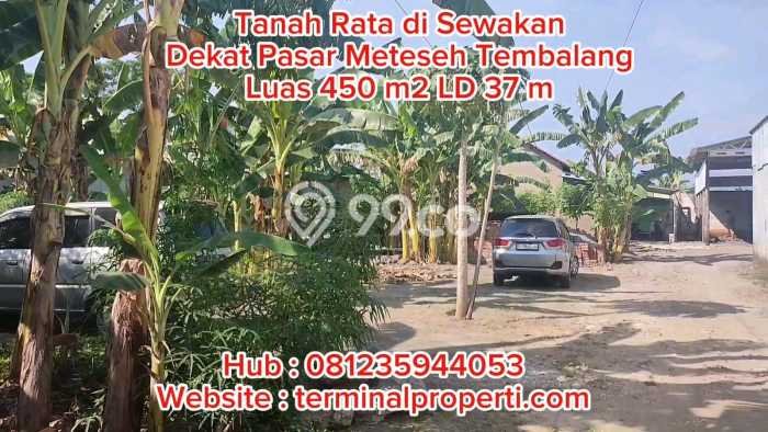 Jarang Ada! Tanah Kavling Disewakan di Semarang 451m2 Jarang Ada! Tanah Kavling Disewakan di Semarang 451m2