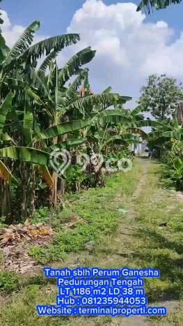 Kavling Tanah di Pedurungan Dijual Luas 1186m2 Legalitas SHM Kavling Tanah di Pedurungan Dijual Luas 1186m2 Legalitas SHM