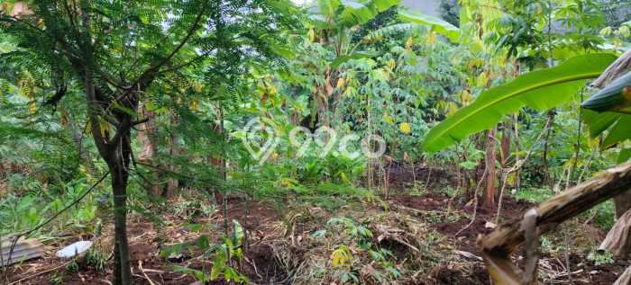 Kavling Tanah Dijual di Tembalang Semarang Spesifikasi 910m2 Kavling Tanah Dijual di Tembalang Semarang Spesifikasi 910m2