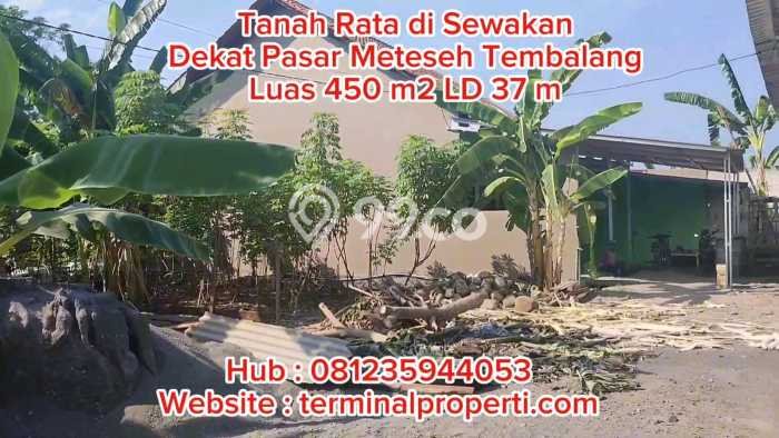 Tanah Disewakan Lokasi Semarang Seluas 451m2 Strategis dan Aman Tanah Disewakan Lokasi Semarang Seluas 451m2 Strategis dan Aman